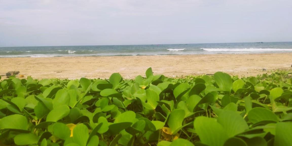 Chan Beach Resort Bahur Exteriör bild