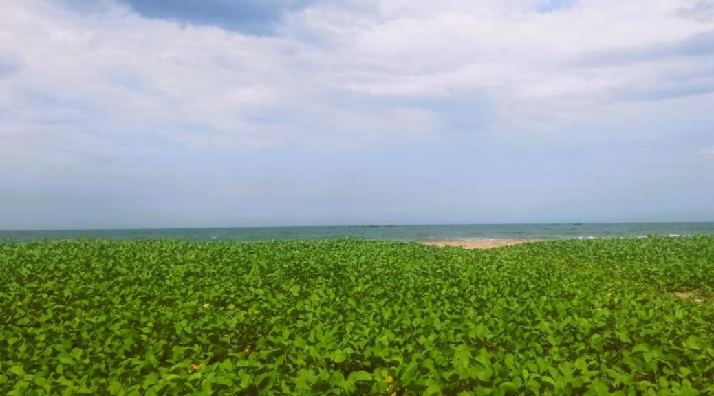 Chan Beach Resort Bahur Exteriör bild